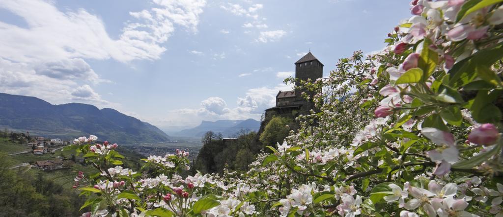 Hotel Zum Tiroler Adler Esterno foto